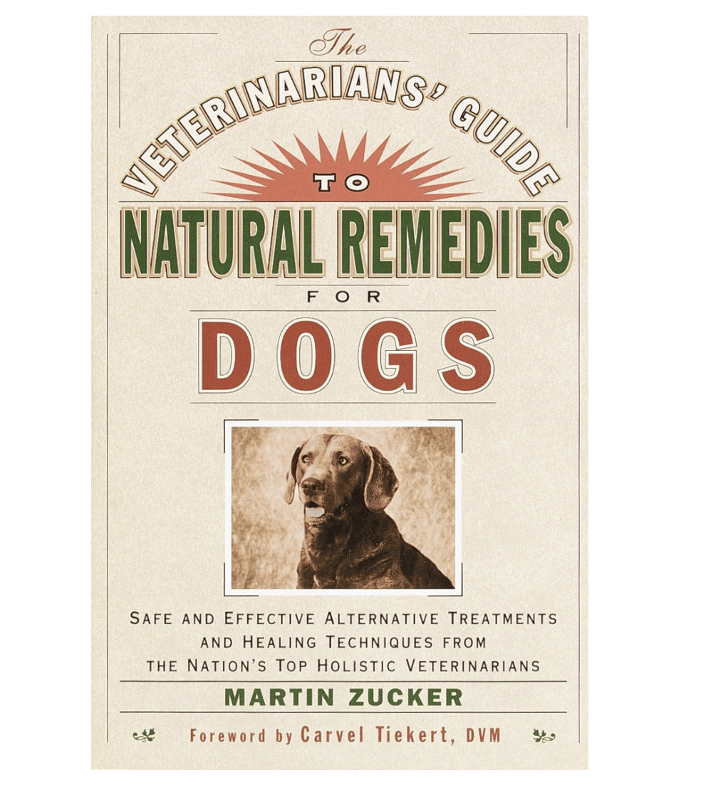 holistic remedies for dogs